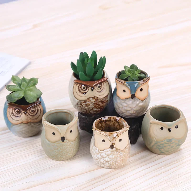 BowLift | Mini Owl Ceramic Plant Planter