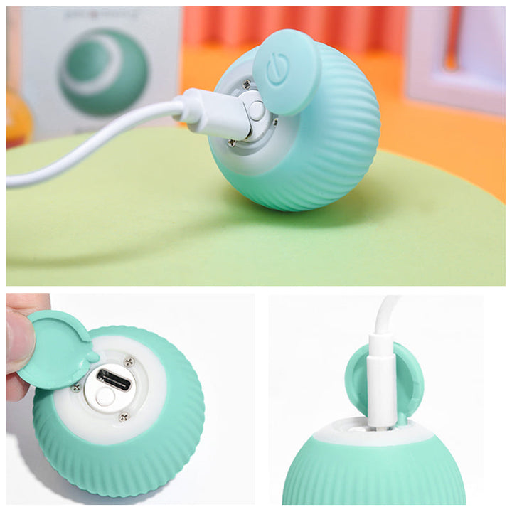 Intelligent Electric Self-Rolling Cat Toy Ball | Bowlift