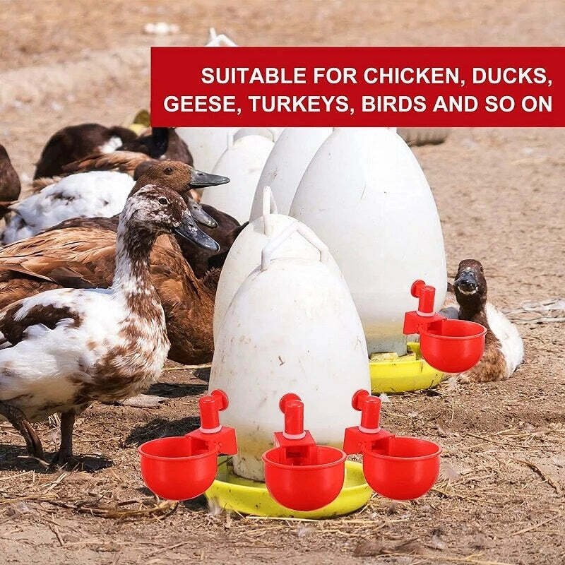 BowLift | Automatic Chicken Water Cup Bird Coop