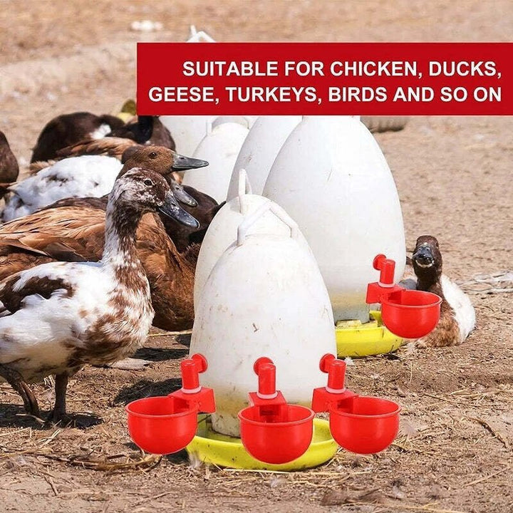 BowLift | Automatic Chicken Water Cup Bird Coop