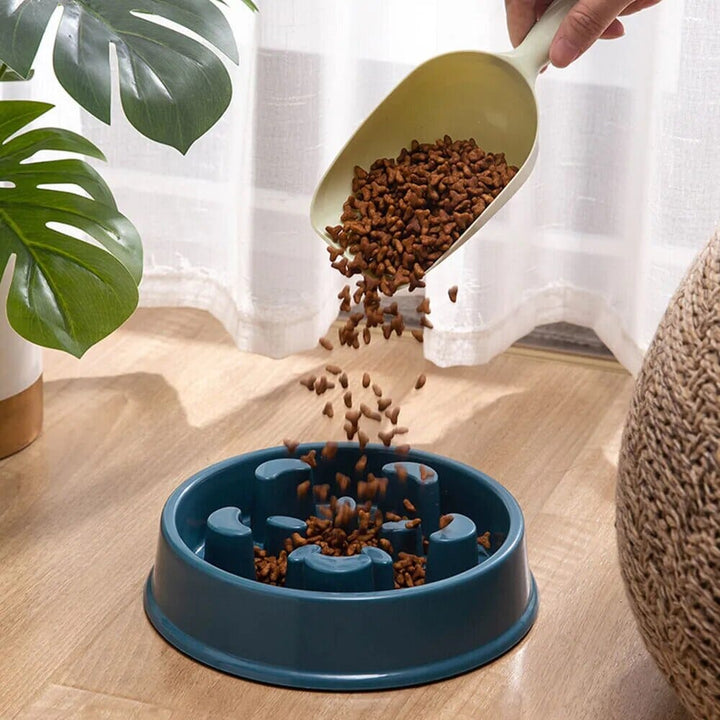 Bowlift Feed Dispenser