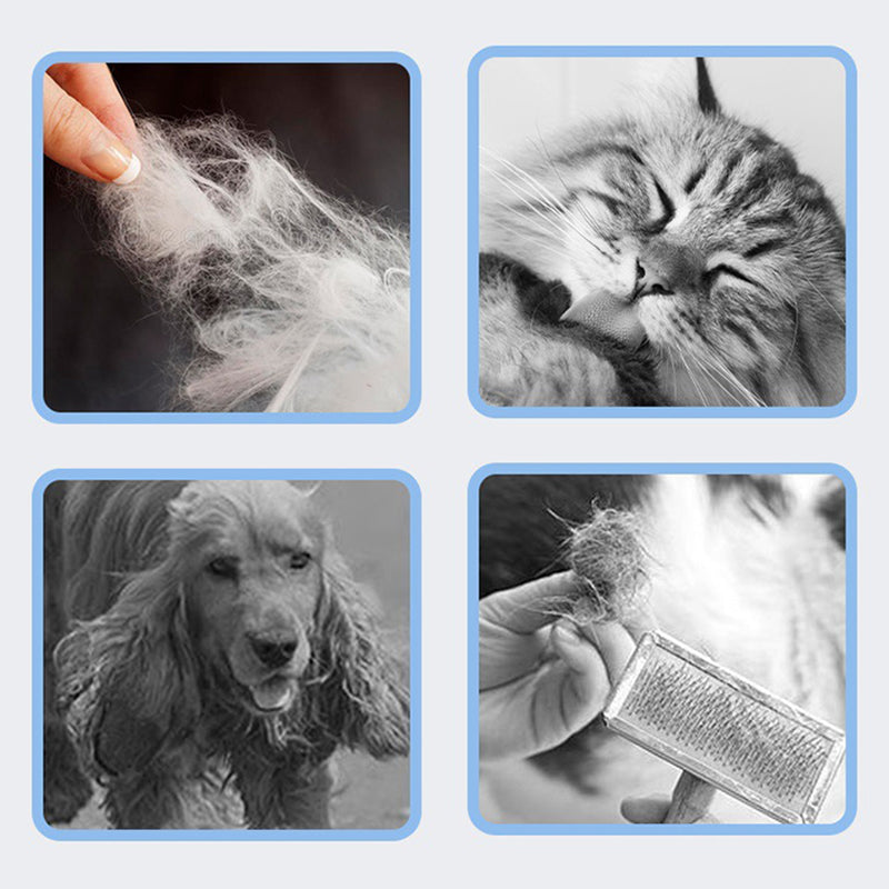 BowLift | TidyFurr – Simple fur care for a clean, happy home
