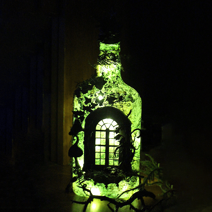 BowLift | Altered Art Bottle - Mystical forest stories