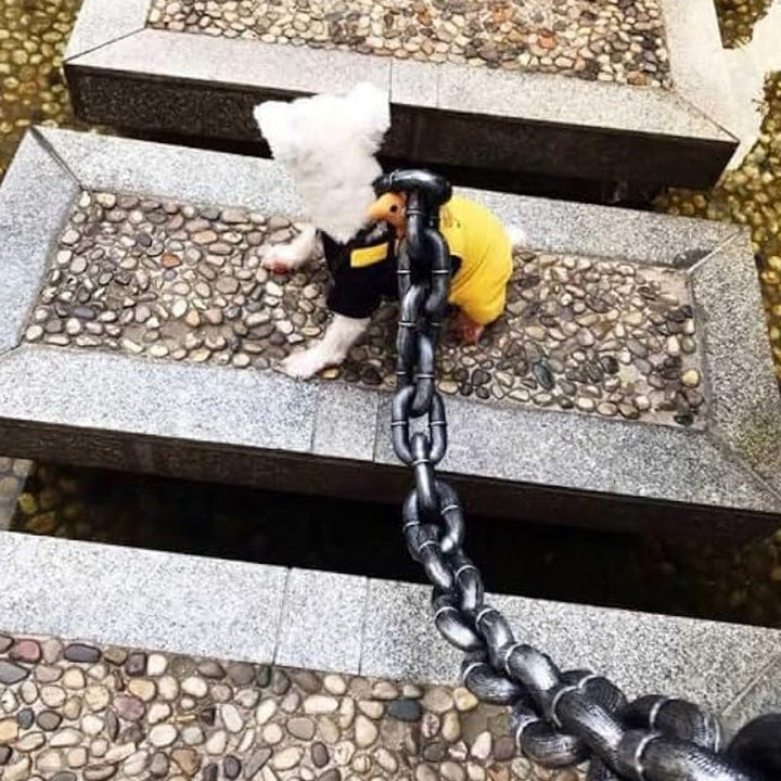 BowLift | Funny Dog Leash