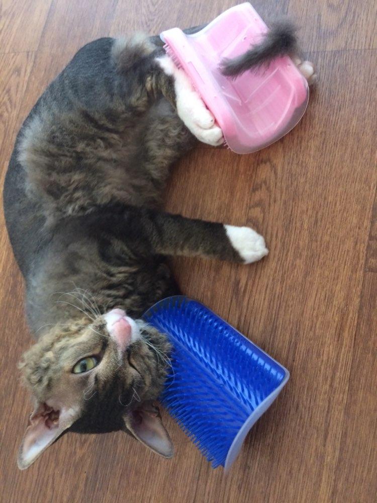 KittyRub - Cat Massage Comb | Bowlift
