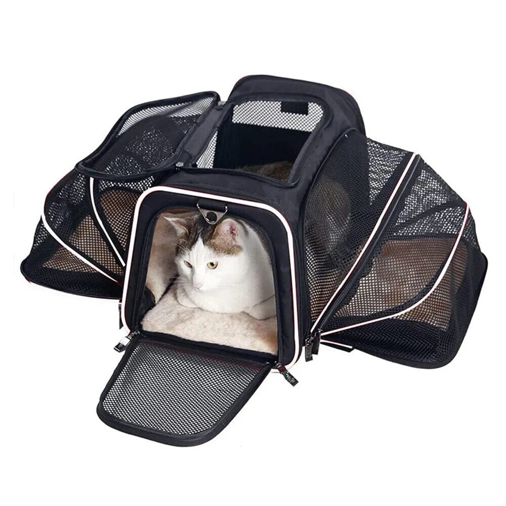 Bowlift Travel Bag
