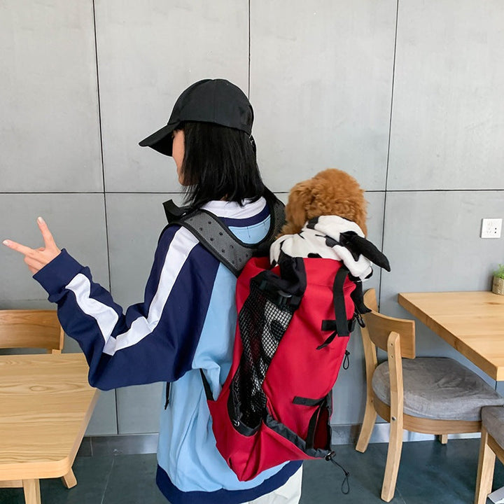 BowLift | Dog Backpack – Comfortable Carrying Bag for Medium Dogs with Safety Strap and Storage Pockets
