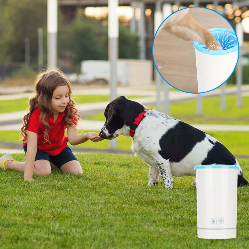 BowLift | PawShine – Clean and soothe your pet's paws instantly and effortlessly