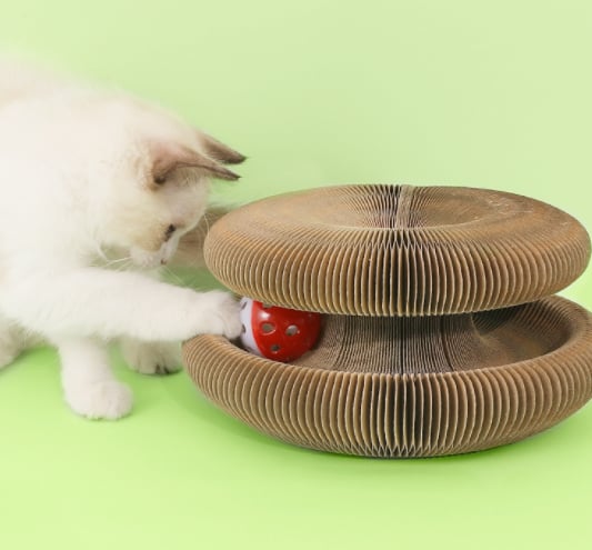 BowLift | Magic Cat Scratch Board(with ball )