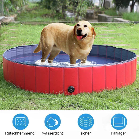 Foldable PVC Dog Pool with Drainage Valve Bowlift