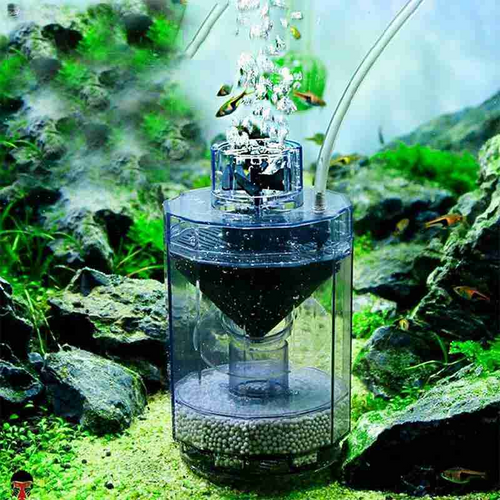 BowLift | Automatic Fish Stool Collector Vacuum