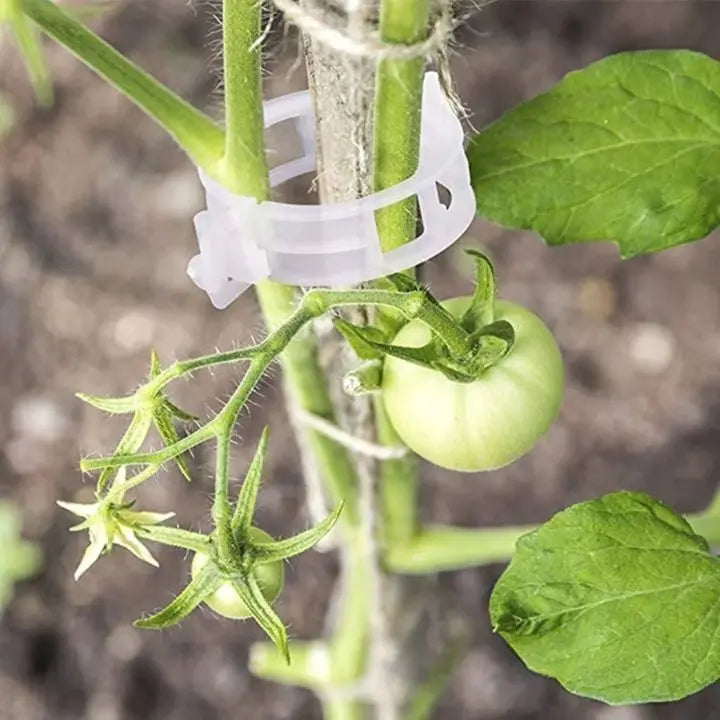 BowLift | 100 pcs. Plant support clips | Perfect hold for healthy plants