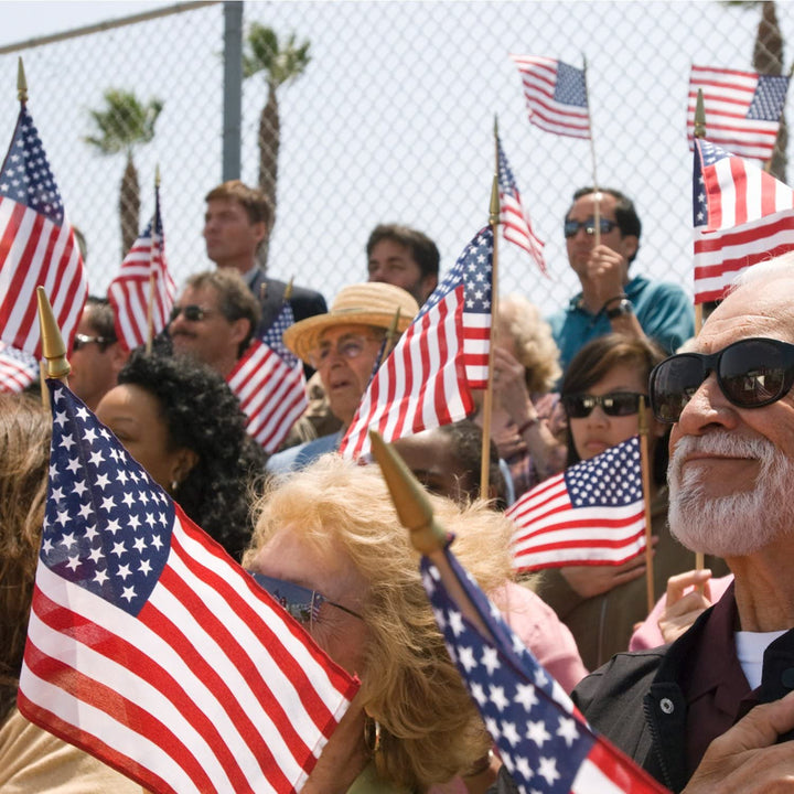 BowLift | 100-Pack: USA 4x6 in wooden stick flag