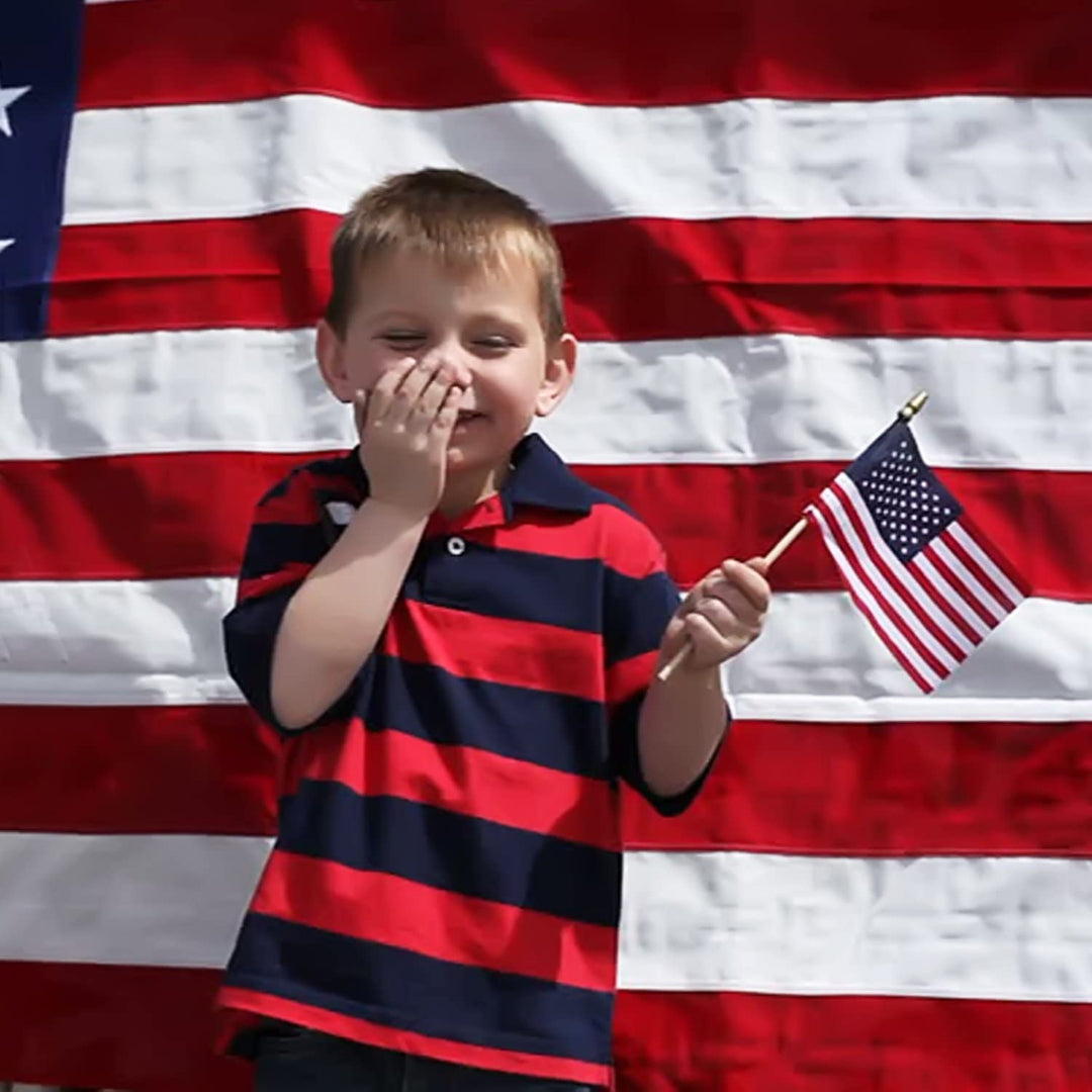 BowLift | 100-Pack: USA 4x6 in wooden stick flag