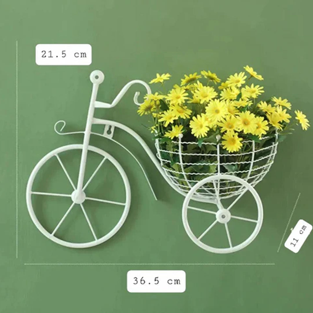 Bicycle Wall Basket Stand Bowlift