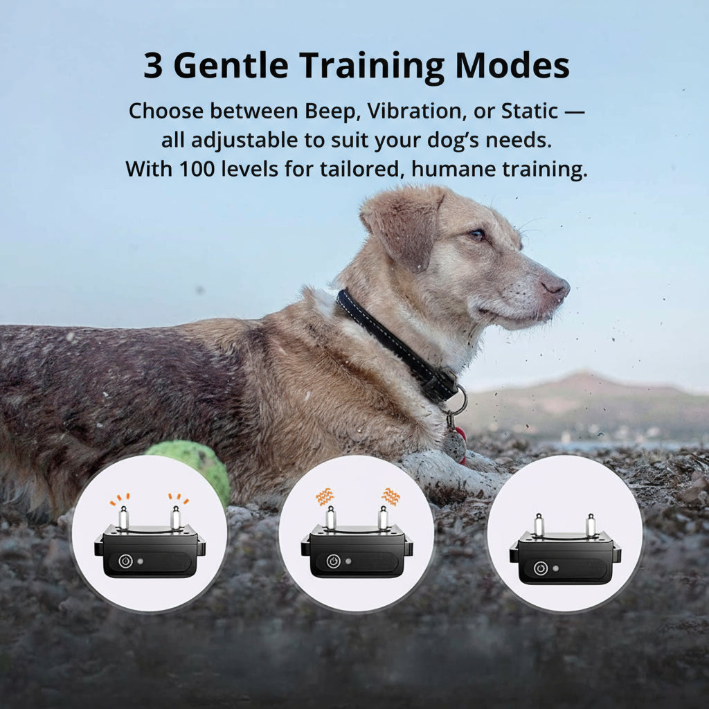 BowLift | 1000m Waterproof Dog Training Collar | Rechargeable, Remote Control & Adjustable for Small, Medium, and Large Dogs