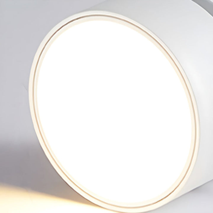 BowLift | LED Ceiling Light with Adjustable Spotlight Head