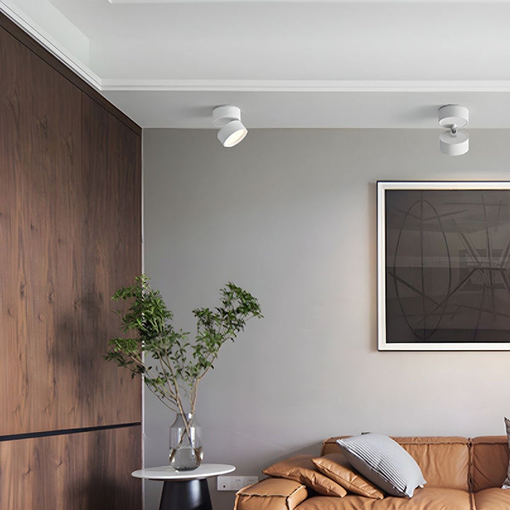 BowLift | LED Ceiling Light with Adjustable Spotlight Head