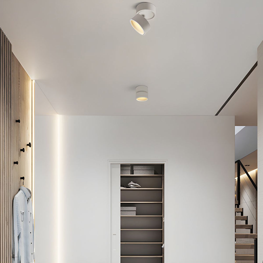 BowLift | LED Ceiling Light with Adjustable Spotlight Head