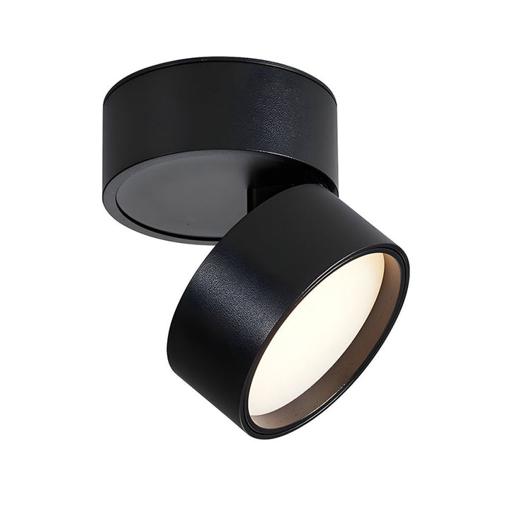 BowLift | LED Ceiling Light with Adjustable Spotlight Head