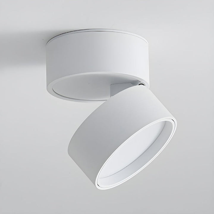 BowLift | LED Ceiling Light with Adjustable Spotlight Head