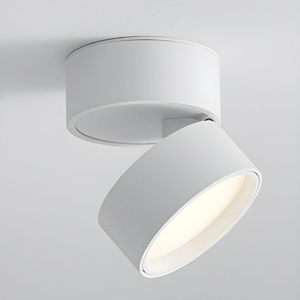BowLift | LED Ceiling Light with Adjustable Spotlight Head