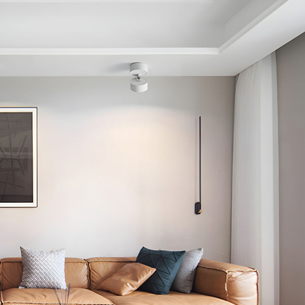 BowLift | LED Ceiling Light with Adjustable Spotlight Head
