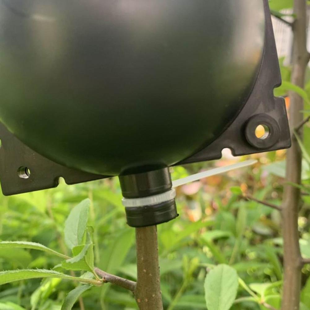 Plant Root Growing Box (5 PCS) | Bowlift