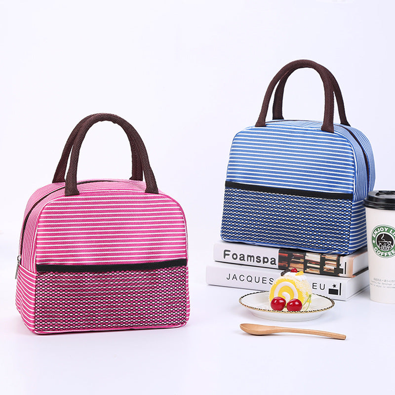 Stylish Insulated Lunch Carrier