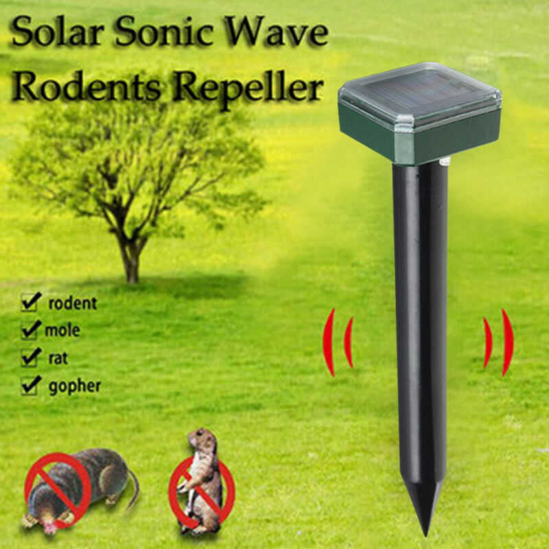 Solar-Powered LED In-Ground Light