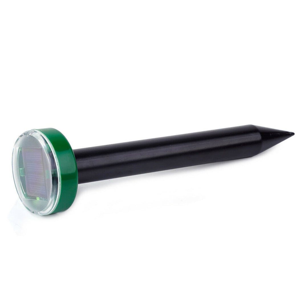 Solar-Powered LED In-Ground Light