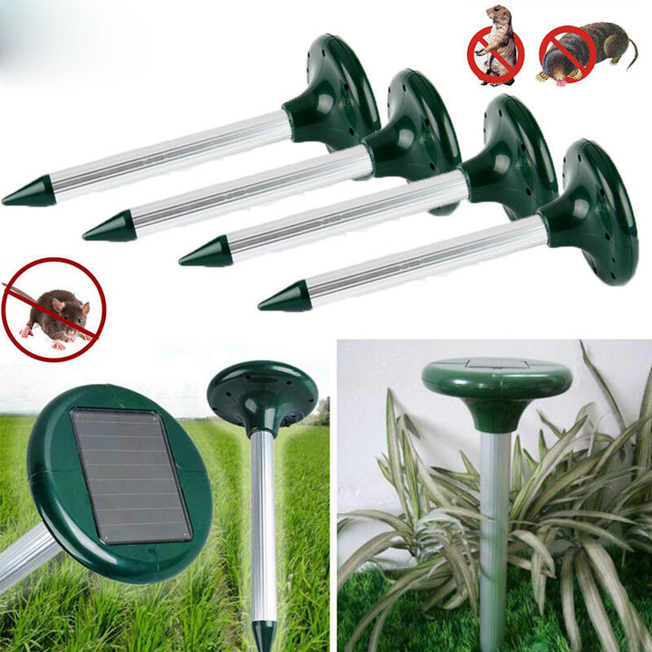 Solar-Powered LED In-Ground Light