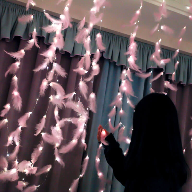 BowLift | Feather LED Atmosphere USB Remote Control Copper Wire Light String