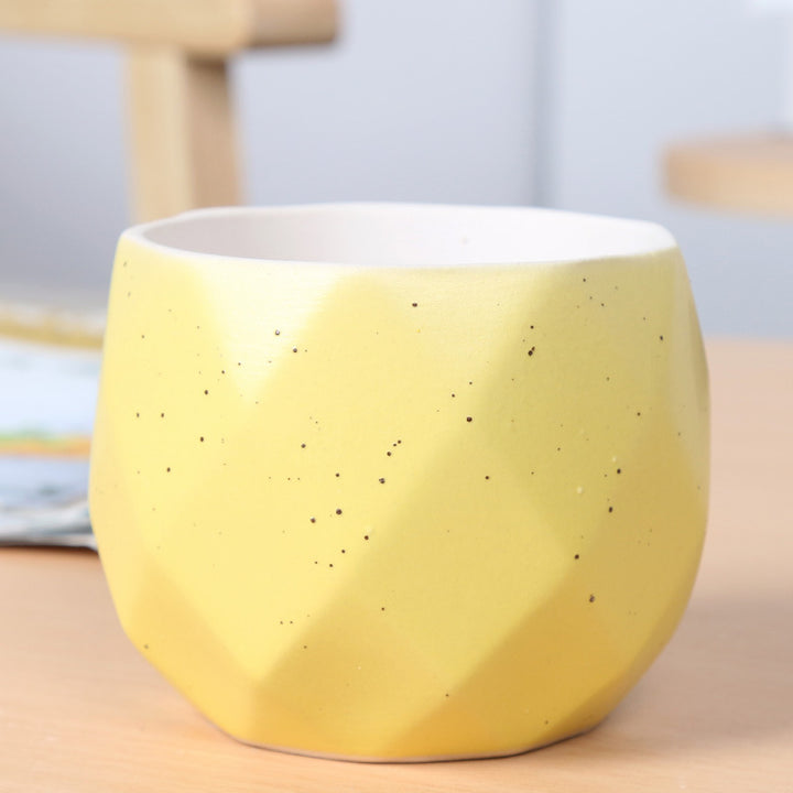 Textured Geometric Ceramic Plant Pot Bowlift