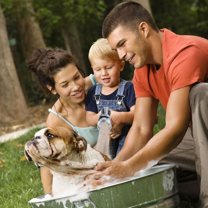 BowLift | High Pressure Electric Sprayer