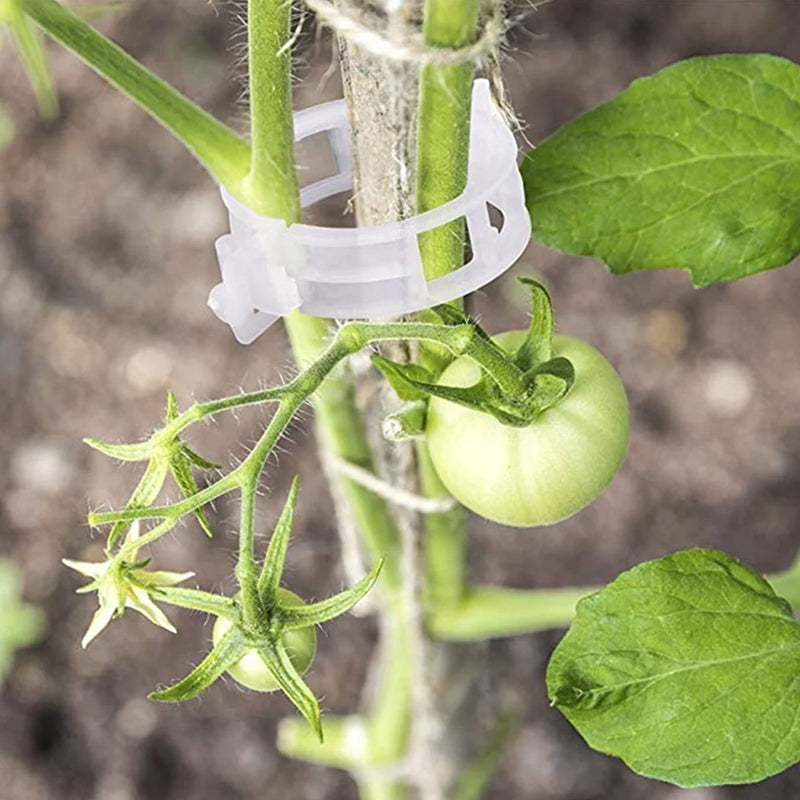 BowLift | Practical Plant Support Clip