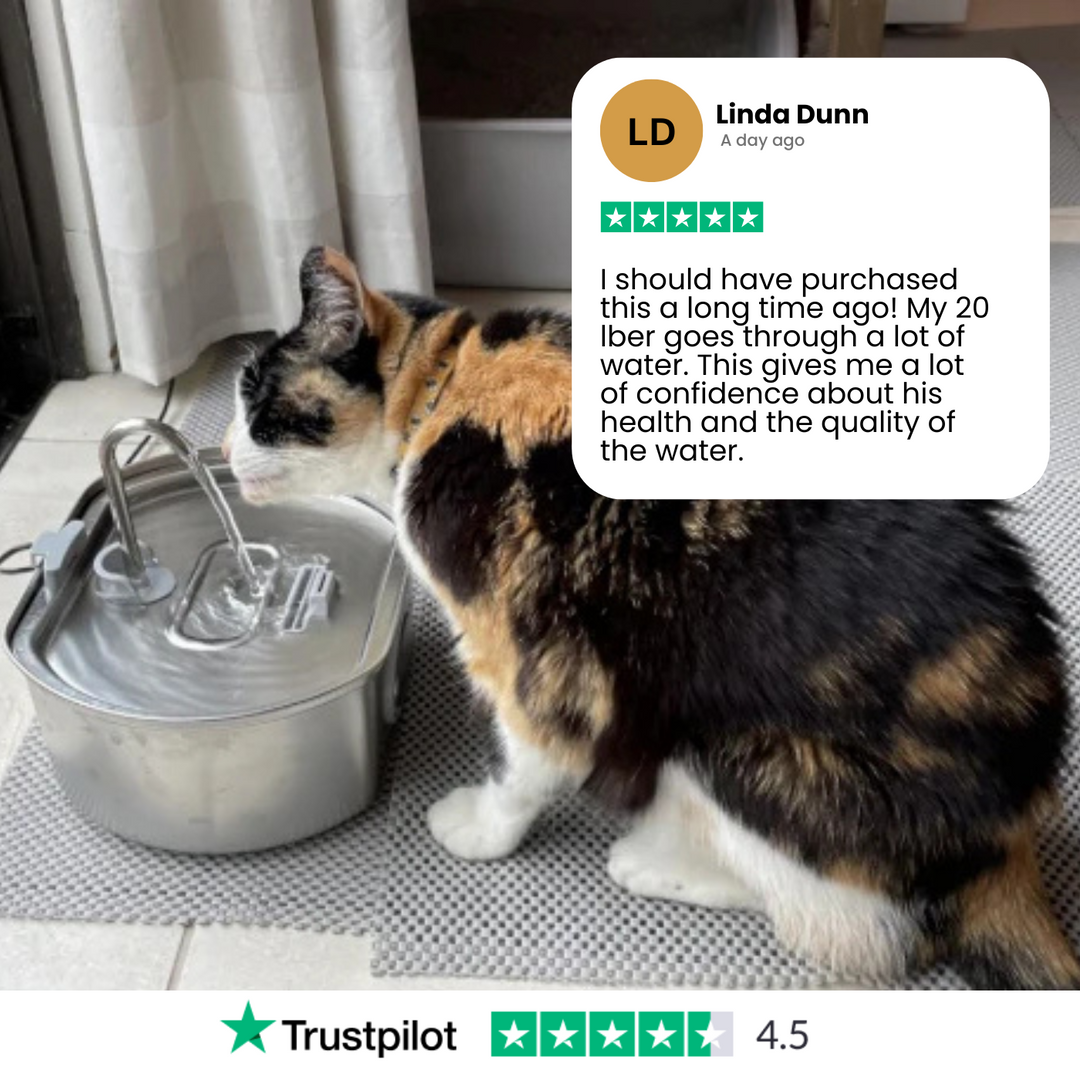 BowLift | Felindra Cat Drinking Fountain Made of Stainless Steel | Flowing Water for Better Hydration | Quiet & Hygienic | 2.5 L Capacity