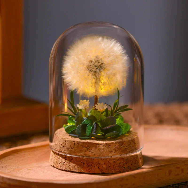 BowLift | EternaBloom Night Light