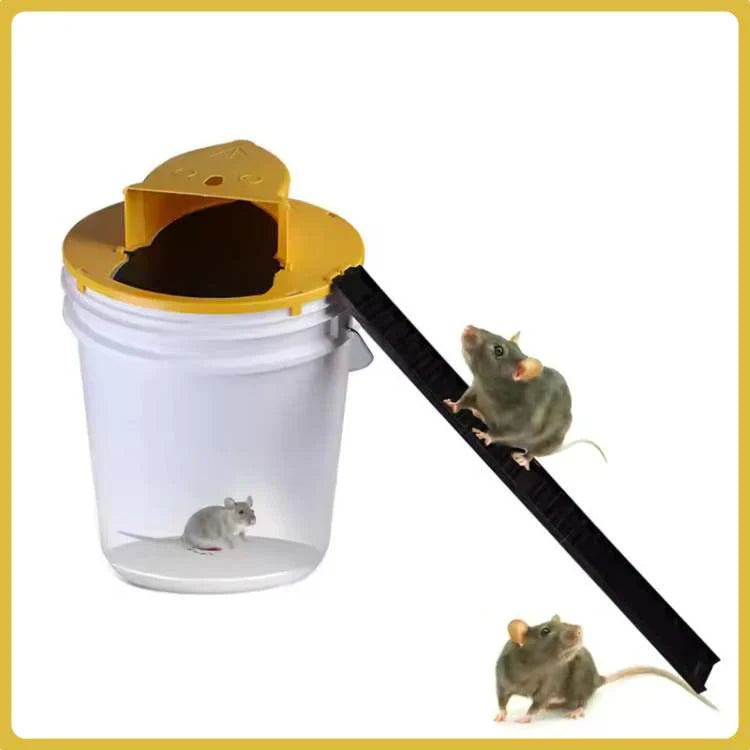 BowLift | SmartCatch Hands-Free Mouse Trap | Safe for Families & Pets, Multiple Capture System for Effective Rodent Control