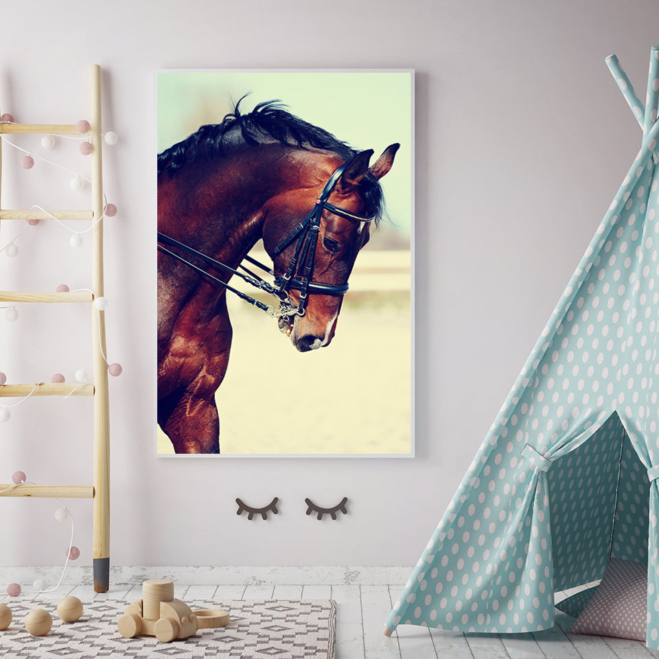Graceful Haltered Horse - Canvas Wall Art Painting | Bowlift