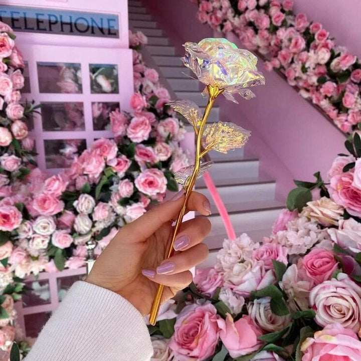 10 pieces Galaxy roses Bowlift