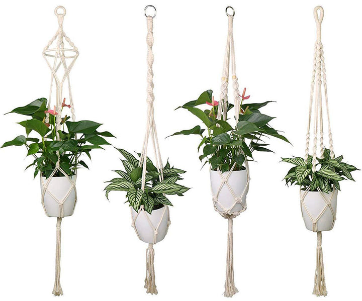 Plant pots Bowlift