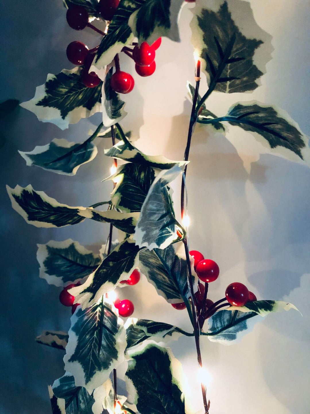 BowLift | Christmas Red Fruit Rattan Party Window Patio Party Thanksgiving Decoration String Lights