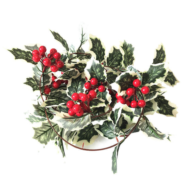 BowLift | Christmas Red Fruit Rattan Party Window Patio Party Thanksgiving Decoration String Lights