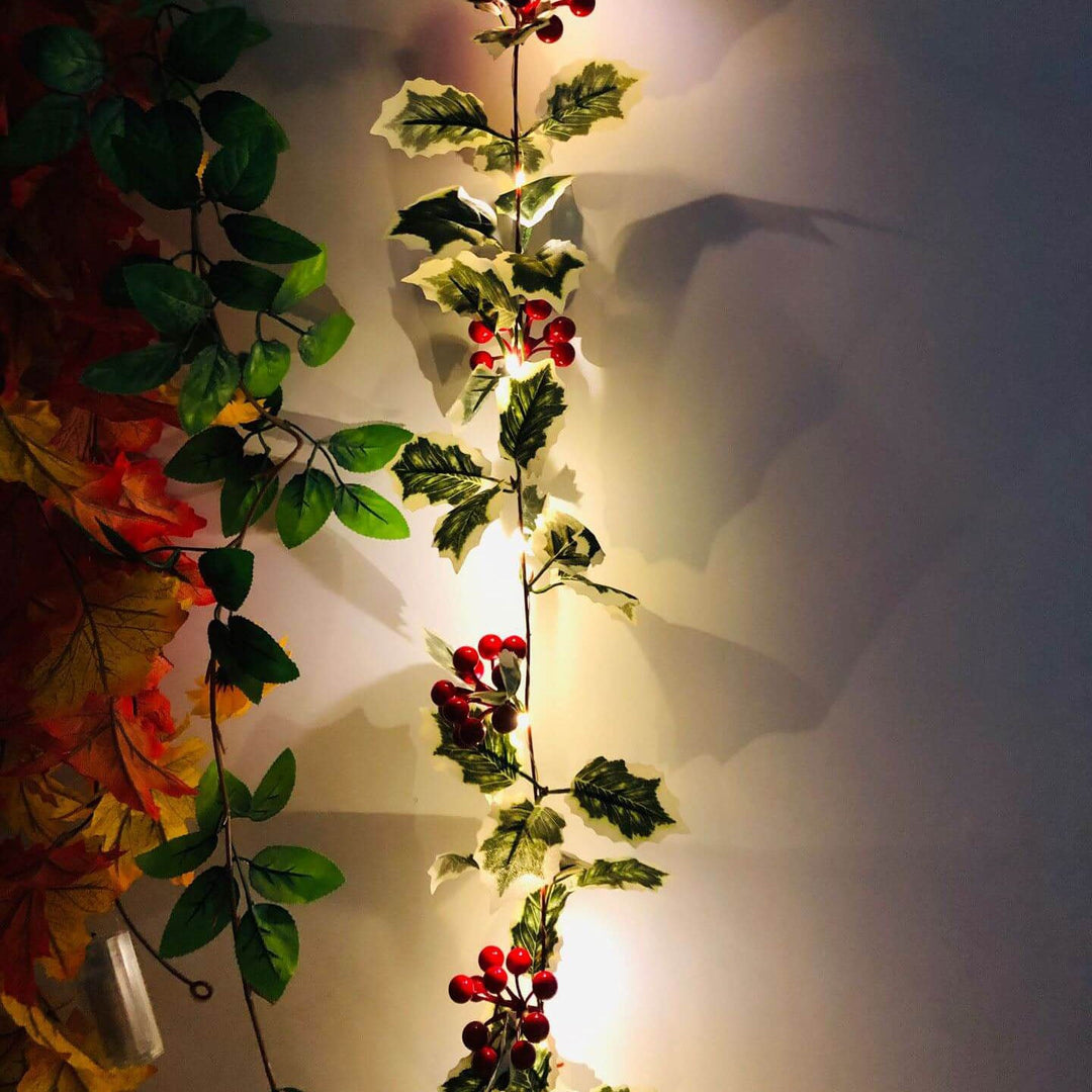 BowLift | Christmas Red Fruit Rattan Party Window Patio Party Thanksgiving Decoration String Lights
