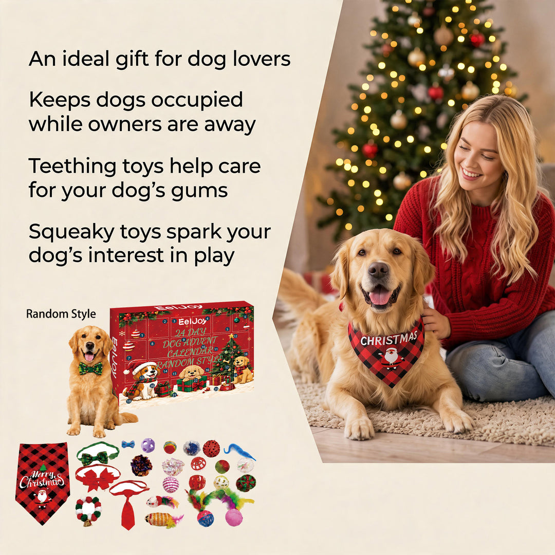 Advent calendar for dogs