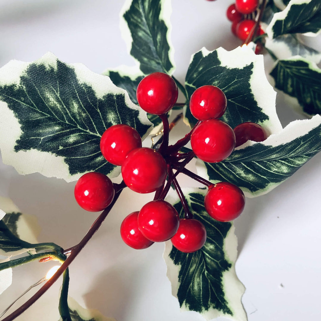 BowLift | Christmas Red Fruit Rattan Party Window Patio Party Thanksgiving Decoration String Lights