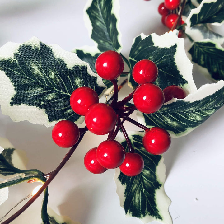 BowLift | Christmas Red Fruit Rattan Party Window Patio Party Thanksgiving Decoration String Lights