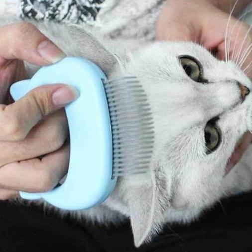 Mini Comb for Pets 2 In 1 | Bowlift