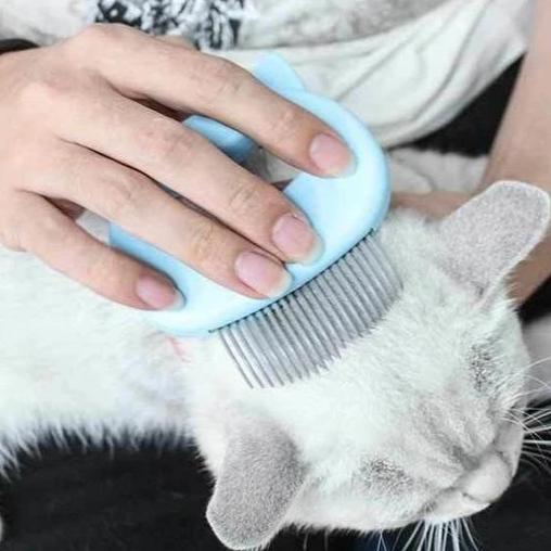 Mini Comb for Pets 2 In 1 | Bowlift